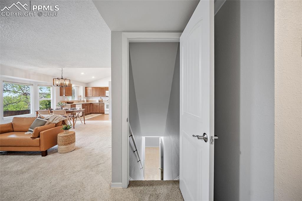 6525 Leesburg Road Colorado Springs CO 80922