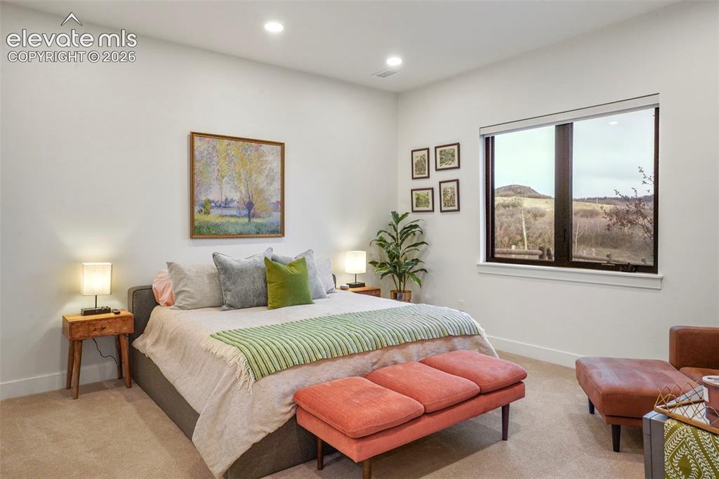 1544 King Mick Court Castle Rock CO 80104