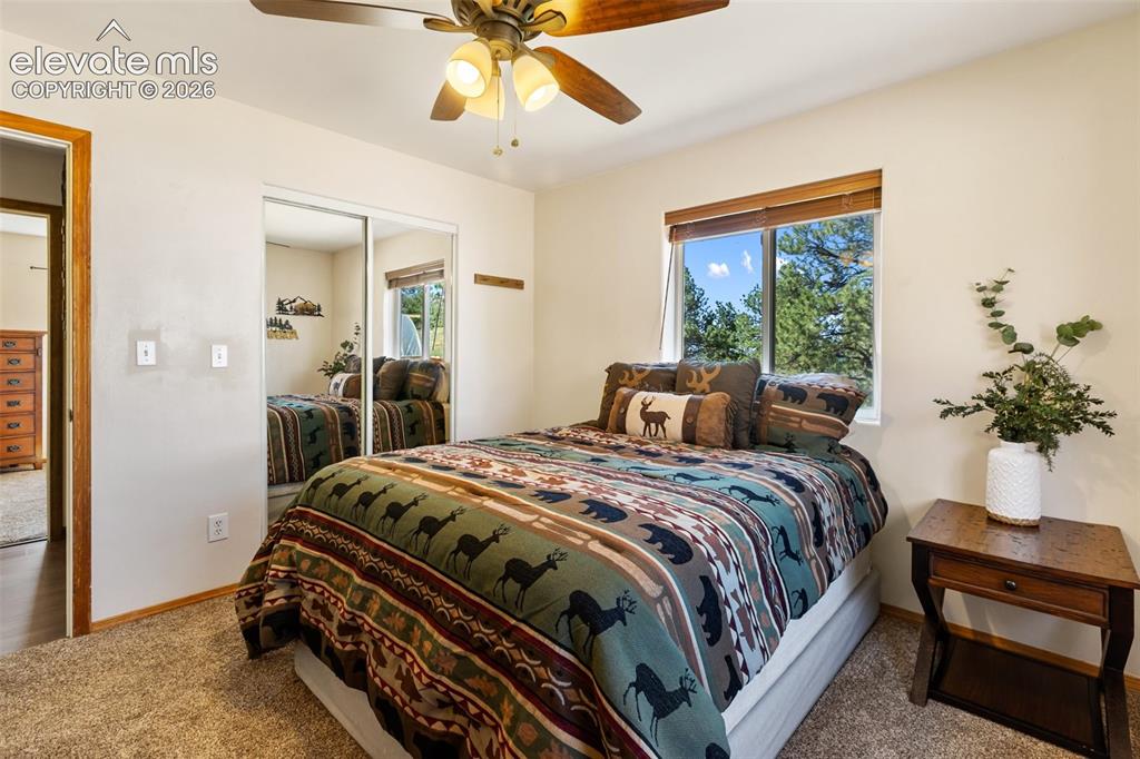 34 Fetlock Circle Florissant CO 80816