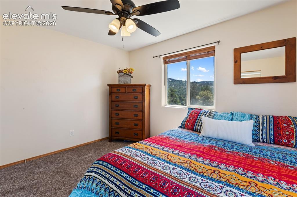 34 Fetlock Circle Florissant CO 80816