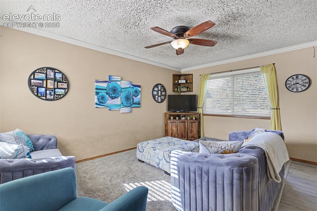 5914 Santana Drive Colorado Springs CO 80923
