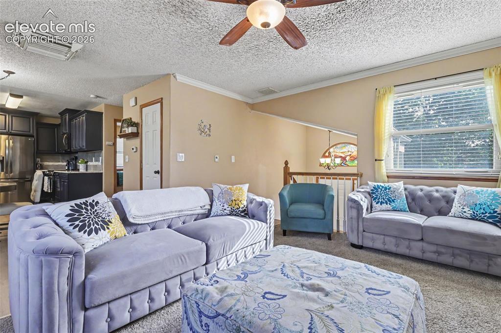 5914 Santana Drive Colorado Springs CO 80923