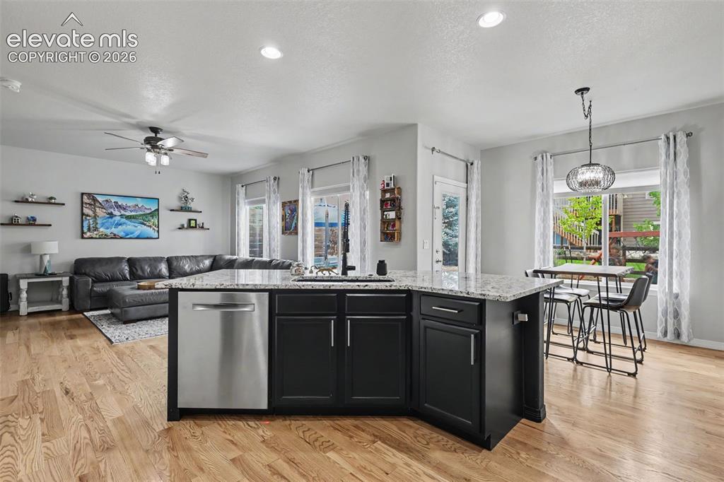 976 Pistol River Way Colorado Springs CO 80921