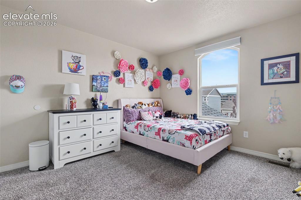 976 Pistol River Way Colorado Springs CO 80921