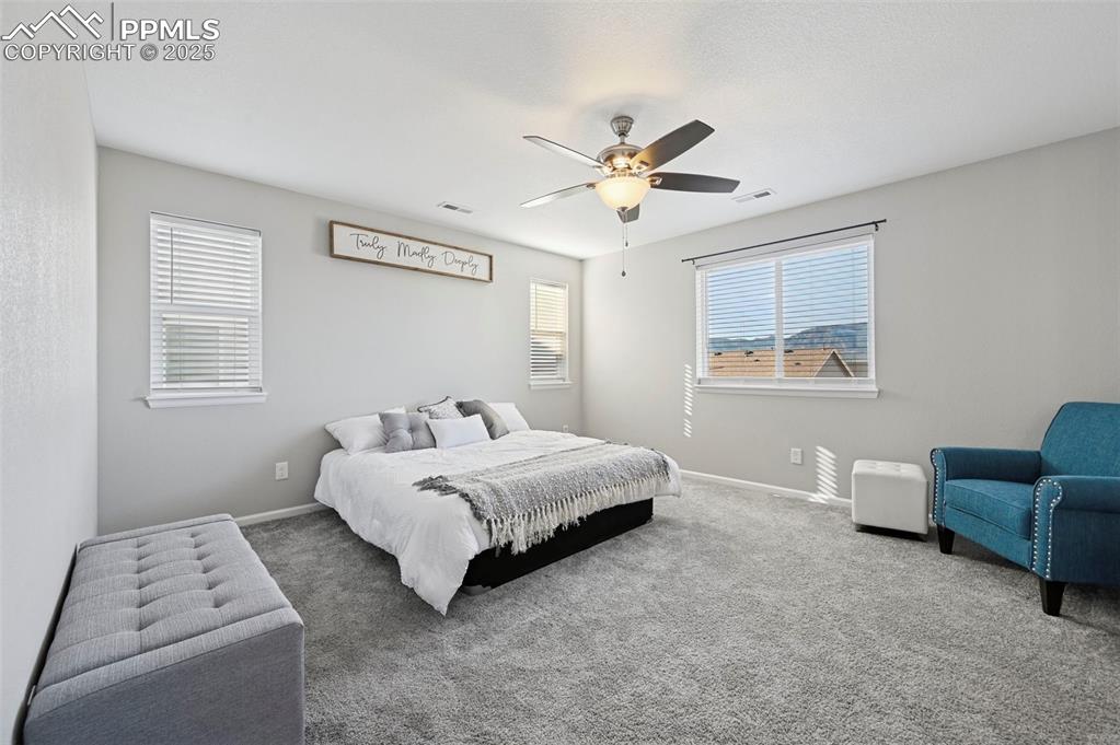 4858 Wolf Moon Drive Colorado Springs CO 80911