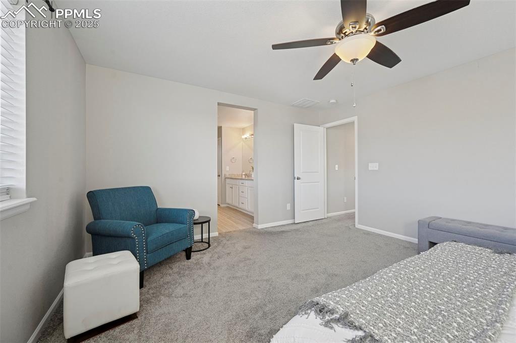 4858 Wolf Moon Drive Colorado Springs CO 80911