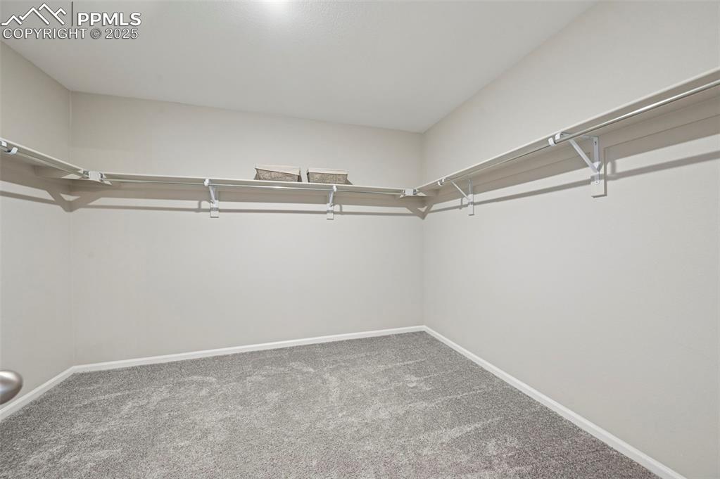 4858 Wolf Moon Drive Colorado Springs CO 80911