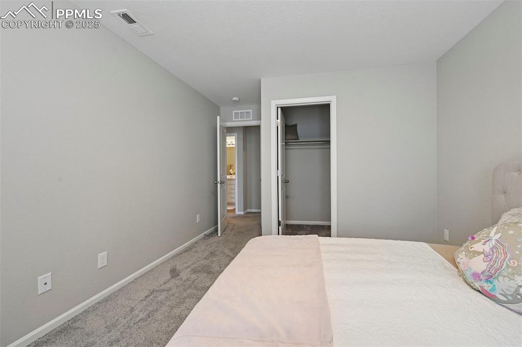 4858 Wolf Moon Drive Colorado Springs CO 80911