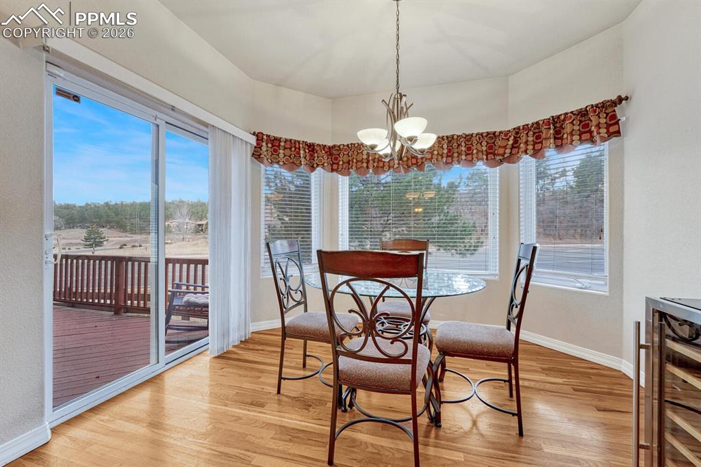 1665 Doe Run Point Colorado Springs CO 80919