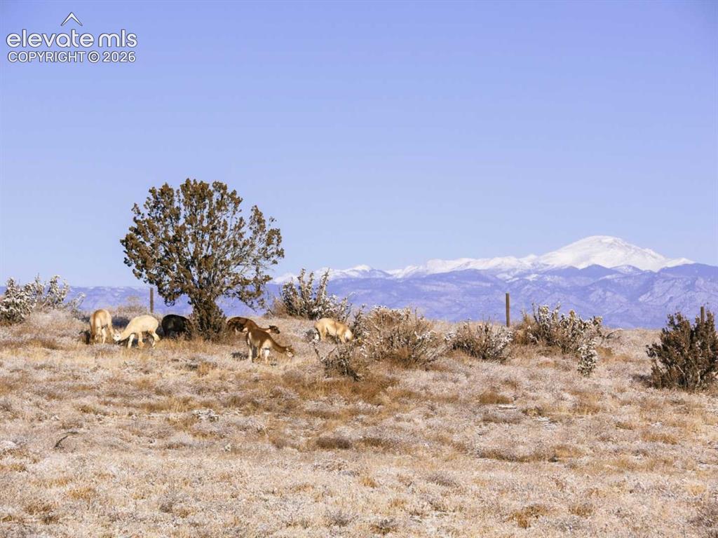 7571 Vanessa Drive Pueblo CO 81005
