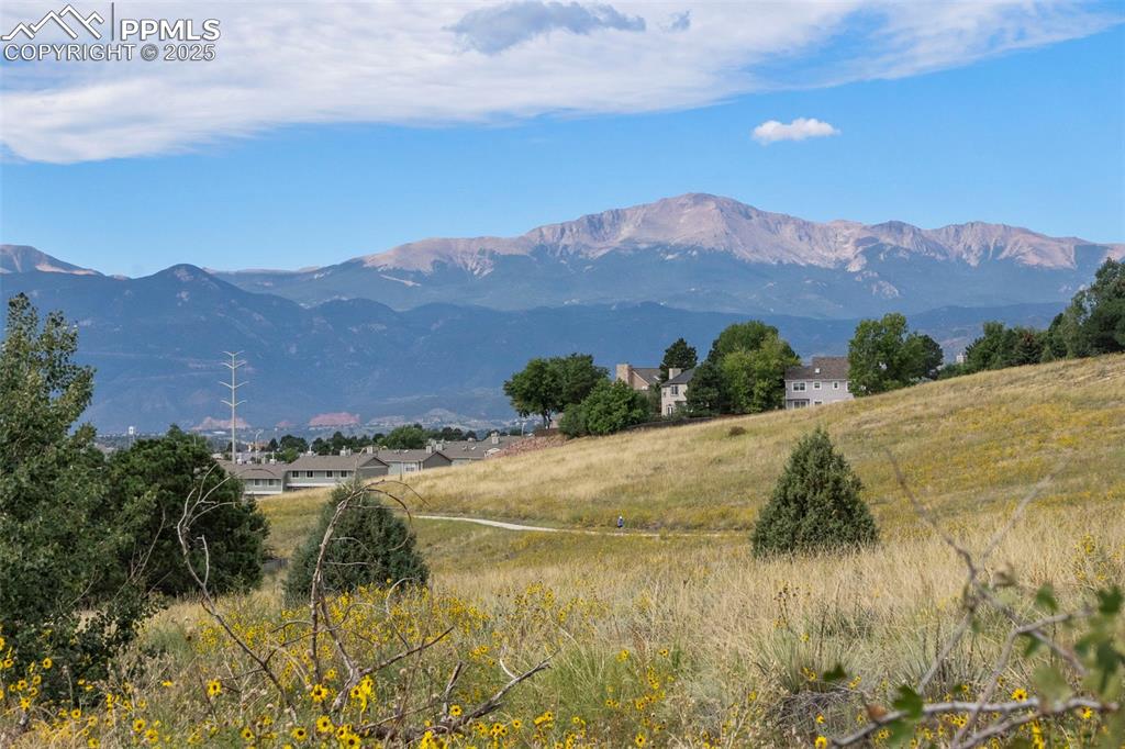 4955 Ramblewood Drive Colorado Springs CO 80920