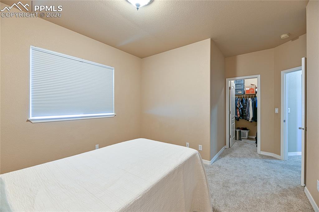 9539 Lizard Rock Trail Colorado Springs CO 80924