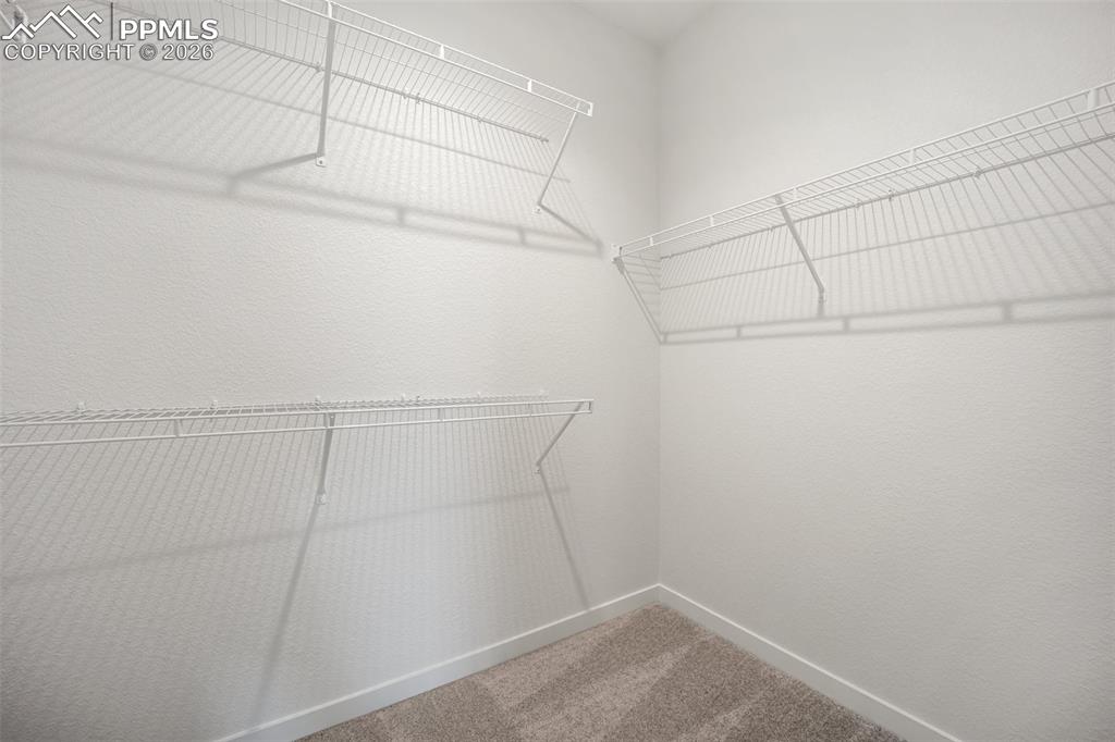 7923 Progeny Lane Colorado Springs CO 80908