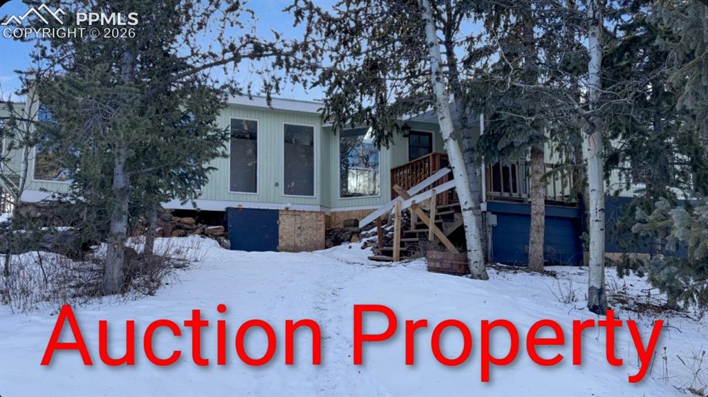 10104 S Highway 67 Divide CO 80814