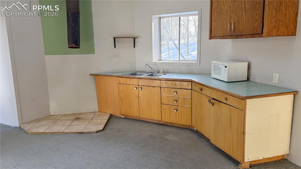 10104 S Highway 67 Divide CO 80814
