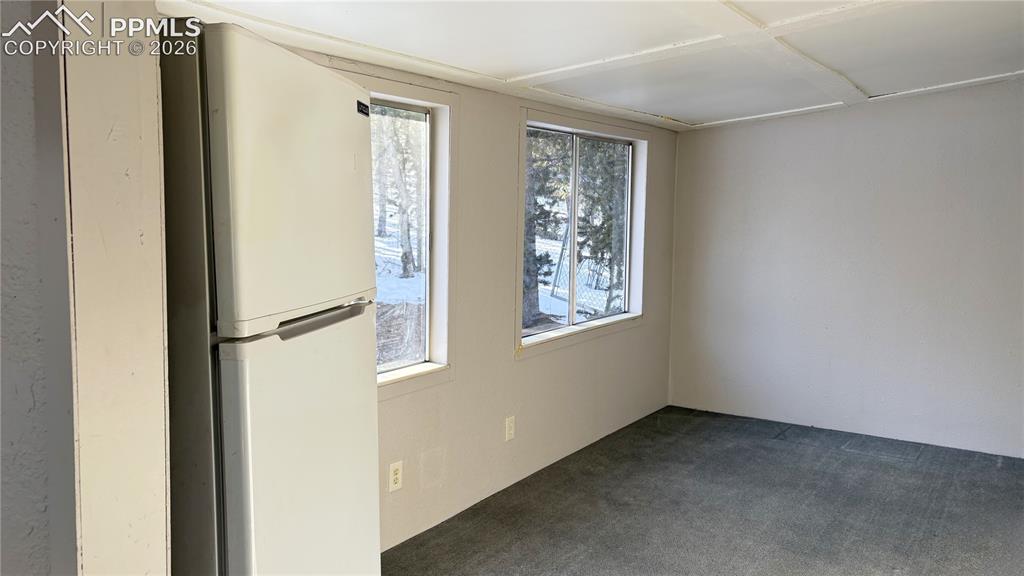 10104 S Highway 67 Divide CO 80814