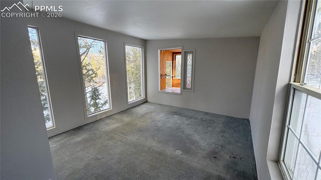 10104 S Highway 67 Divide CO 80814