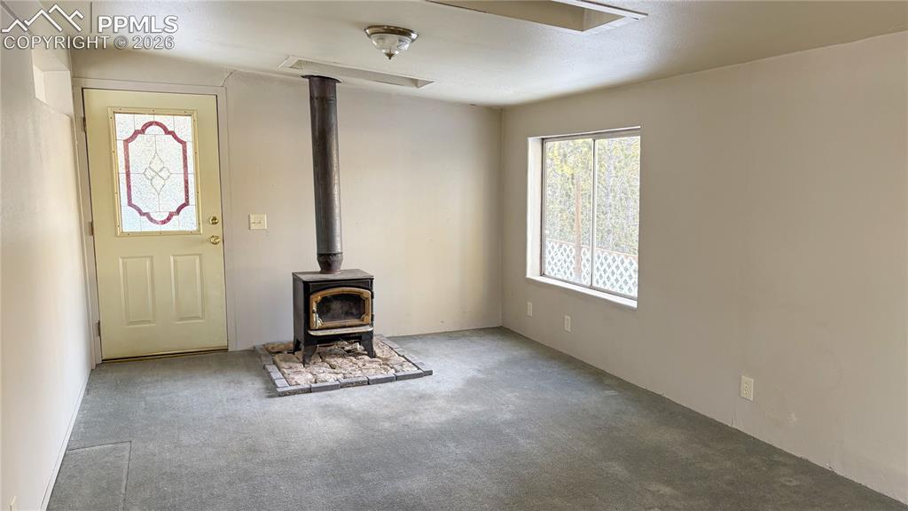 10104 S Highway 67 Divide CO 80814