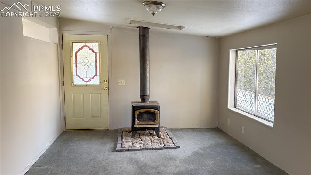 10104 S Highway 67 Divide CO 80814