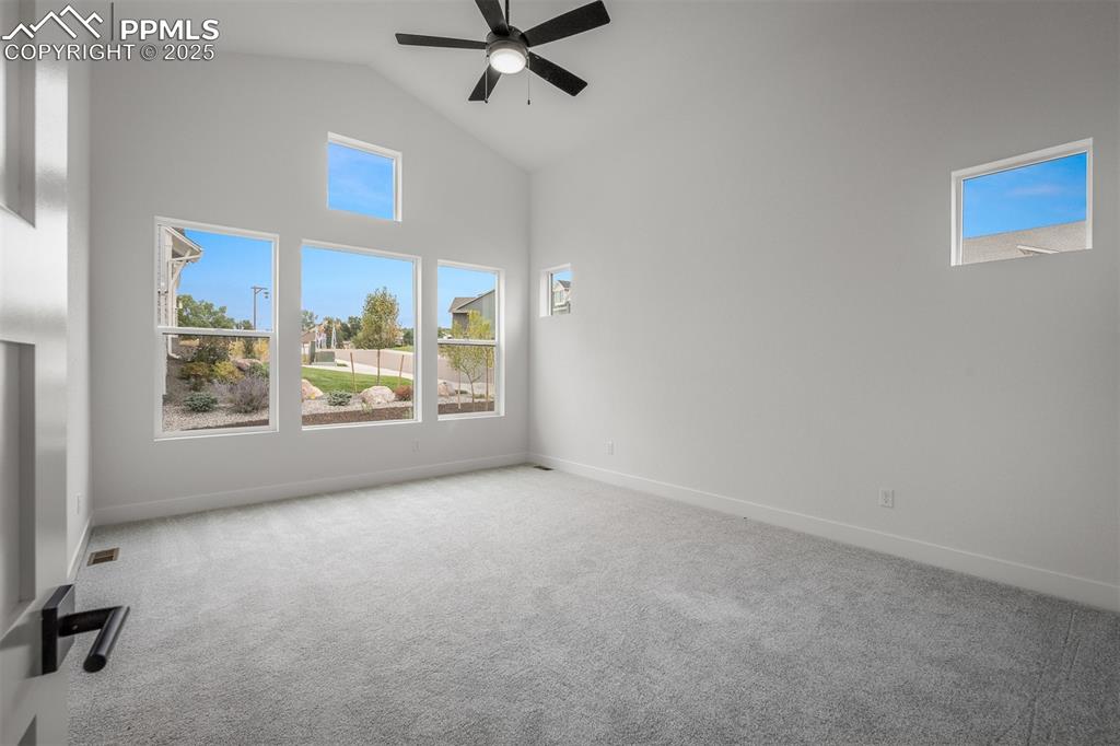 17209 Alsike Clover Court Monument CO 80132
