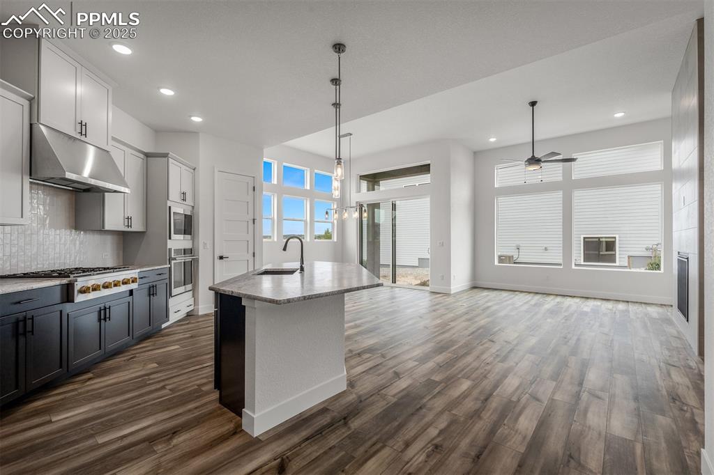 17209 Alsike Clover Court Monument CO 80132