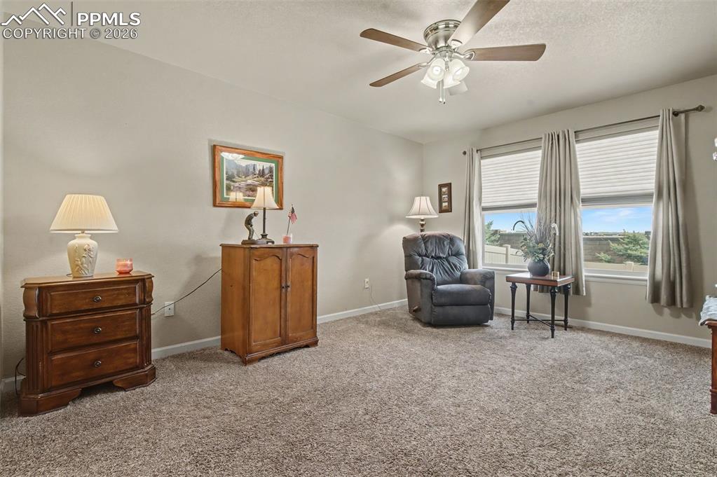 8167 Mockorange Heights Colorado Springs CO 80908