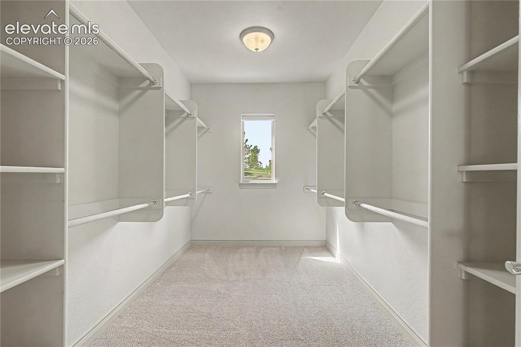 9613 Blue Bonnet Court Colorado Springs CO 80920