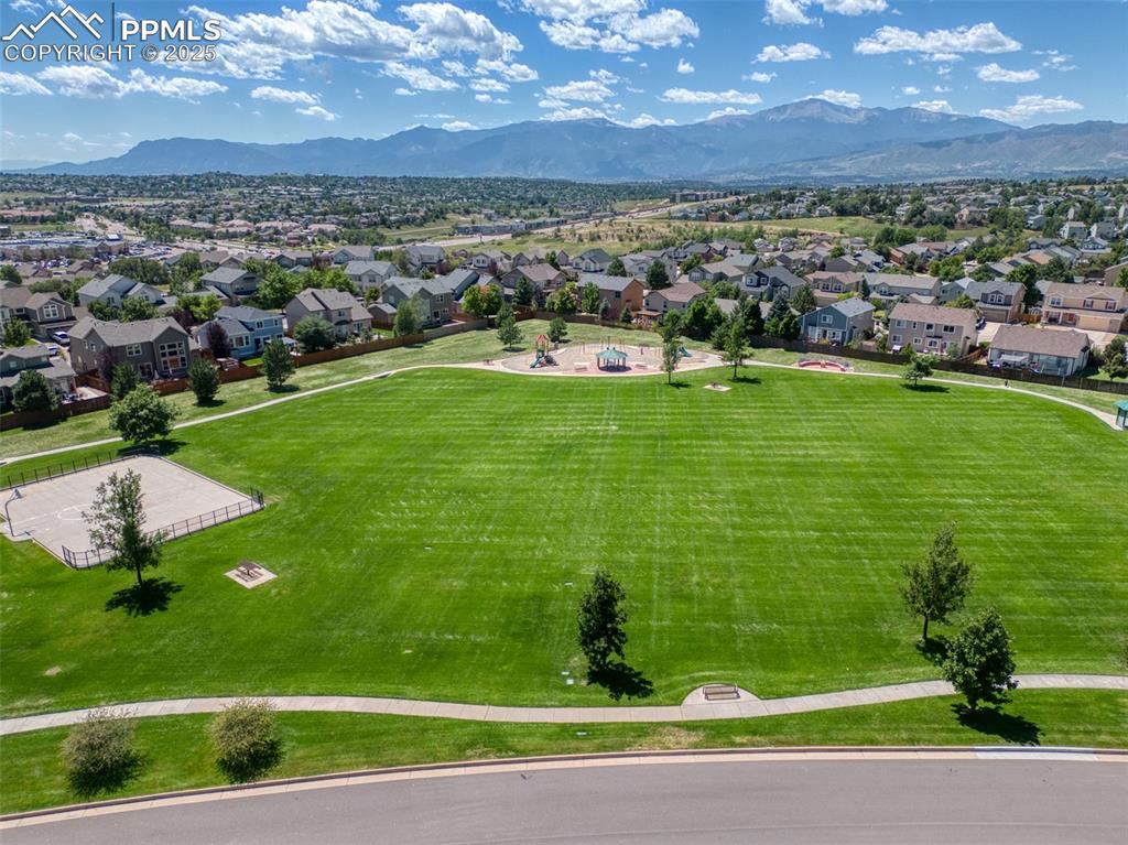 7775 Manston Drive Colorado Springs CO 80920