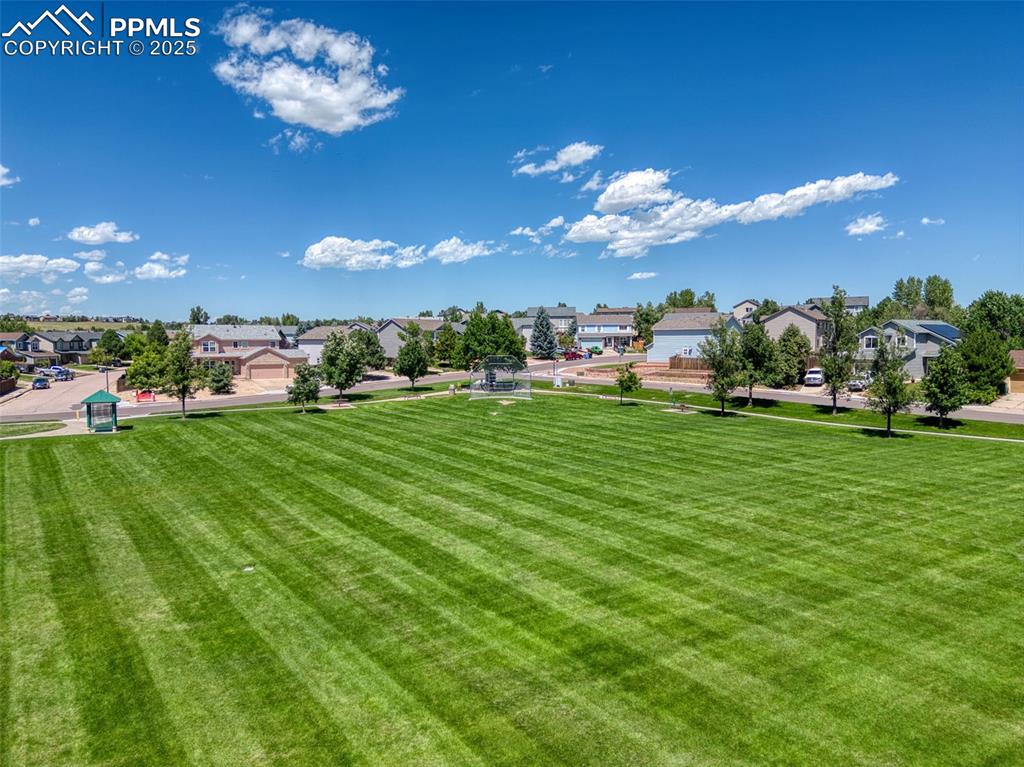 7775 Manston Drive Colorado Springs CO 80920