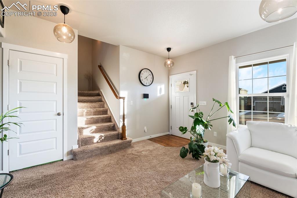 6318 Tramore Way Colorado Springs CO 80923