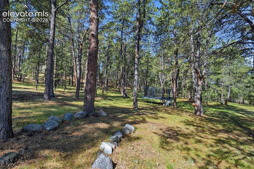 20470 Lockridge Drive Colorado Springs CO 80908