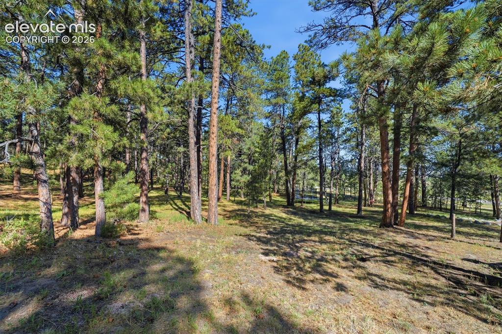 20470 Lockridge Drive Colorado Springs CO 80908