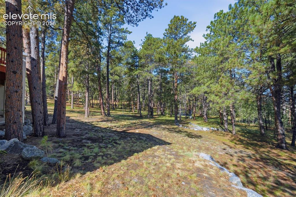 20470 Lockridge Drive Colorado Springs CO 80908