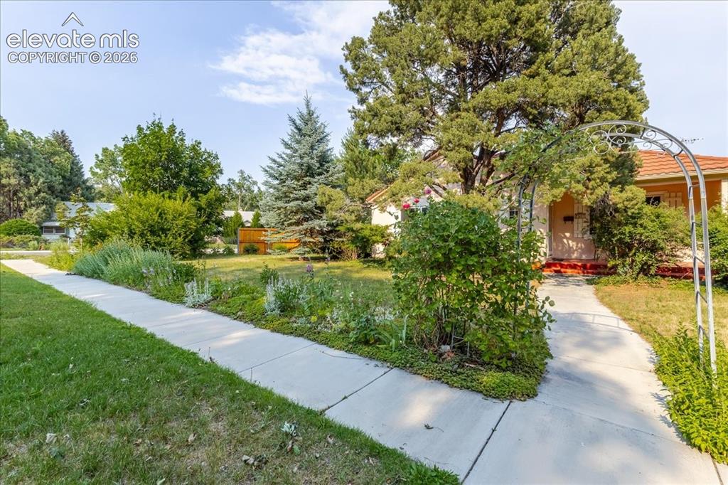 2507 Magellan Street Colorado Springs CO 80907