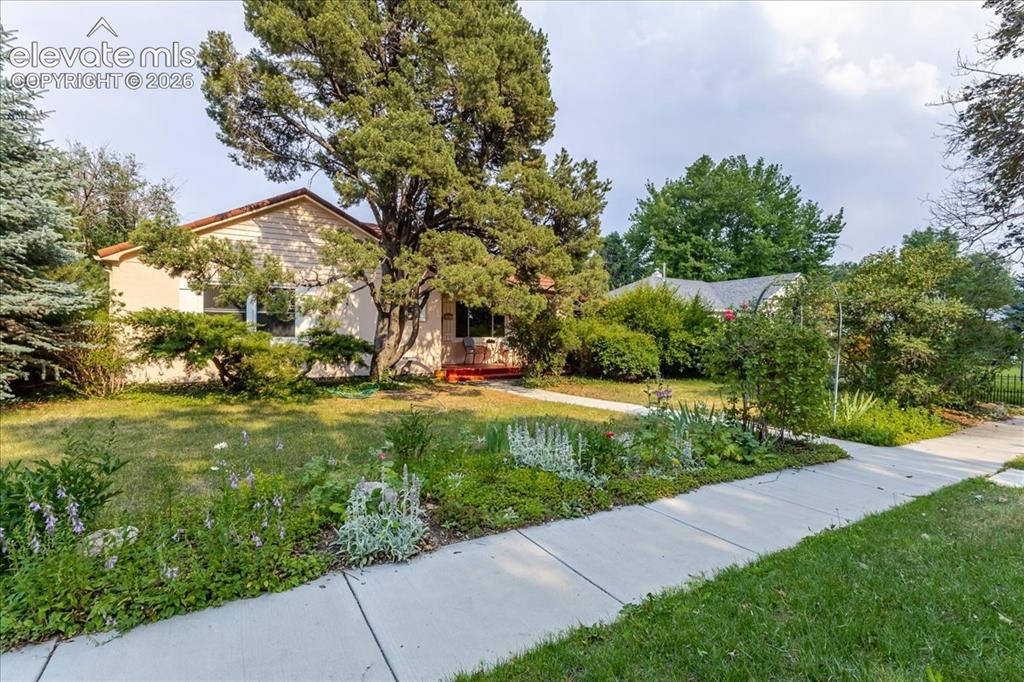 2507 Magellan Street Colorado Springs CO 80907