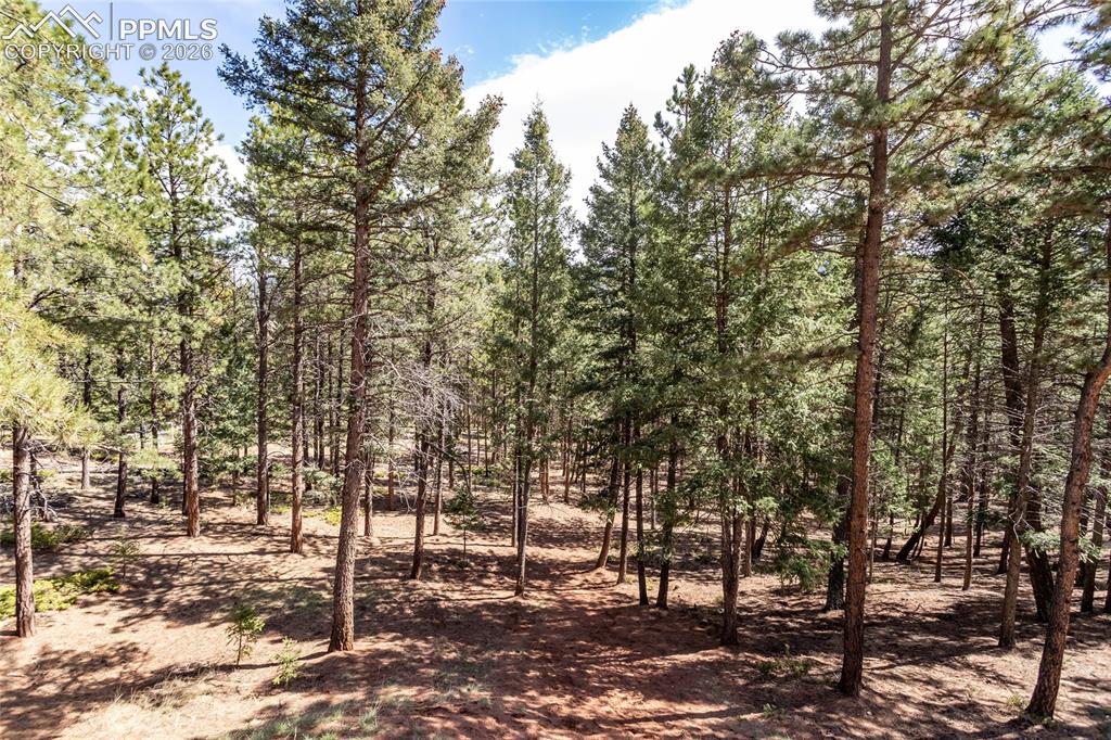 161 Summer Haven Drive Woodland Park CO 80863