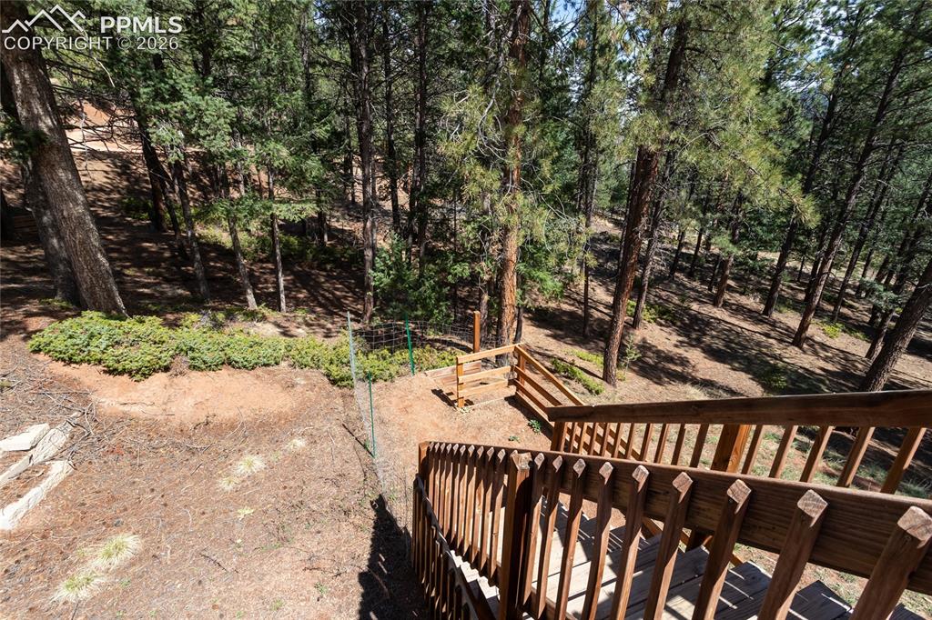 161 Summer Haven Drive Woodland Park CO 80863