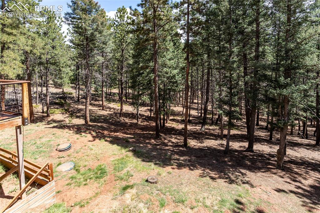 161 Summer Haven Drive Woodland Park CO 80863