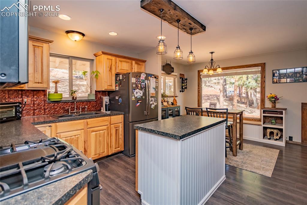 161 Summer Haven Drive Woodland Park CO 80863