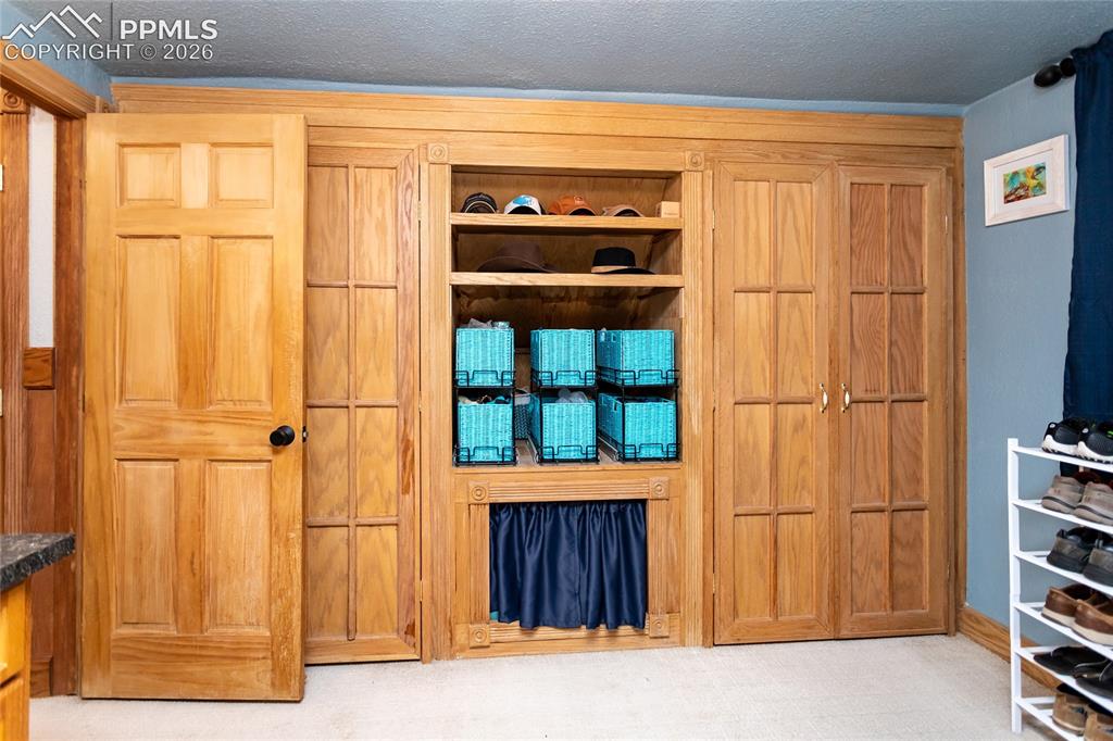 161 Summer Haven Drive Woodland Park CO 80863