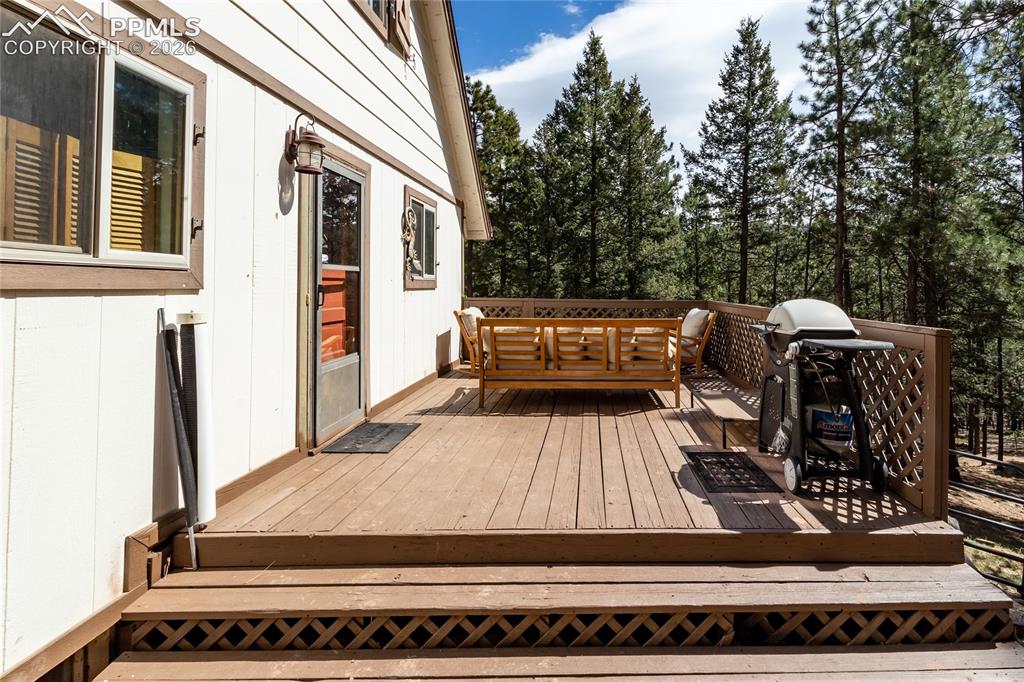 161 Summer Haven Drive Woodland Park CO 80863