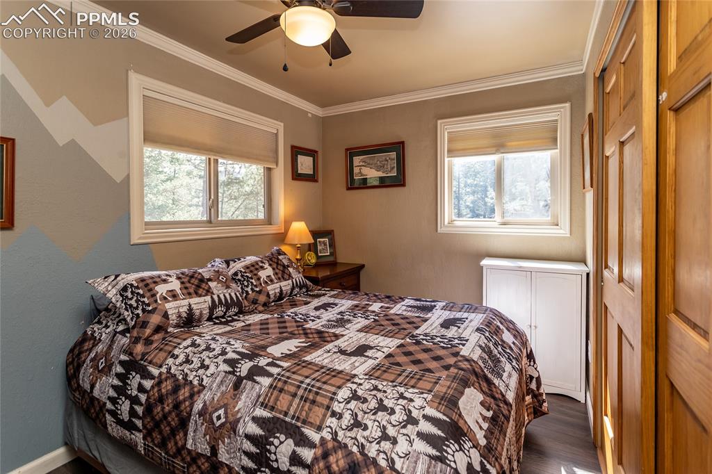 161 Summer Haven Drive Woodland Park CO 80863