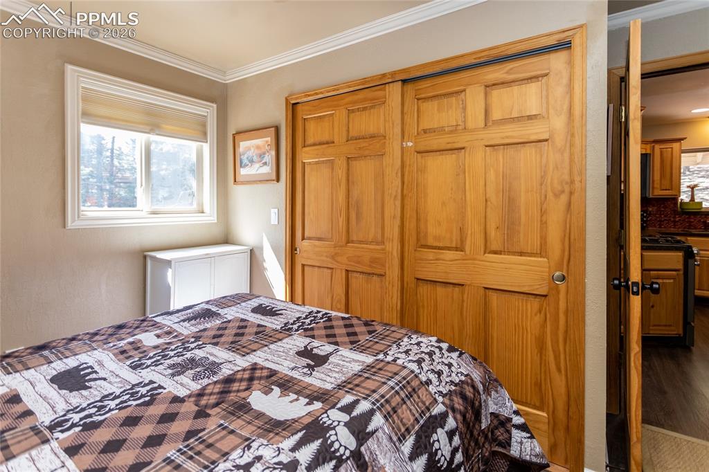 161 Summer Haven Drive Woodland Park CO 80863