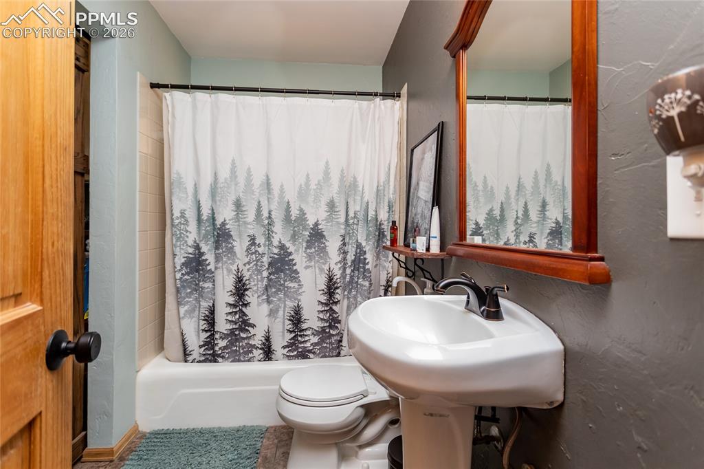 161 Summer Haven Drive Woodland Park CO 80863