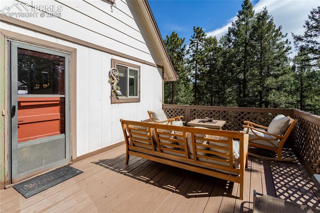 161 Summer Haven Drive Woodland Park CO 80863