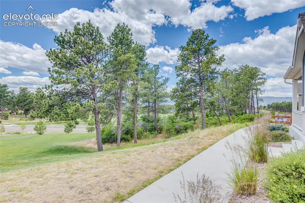 747 Sage Forest Lane Monument CO 80132