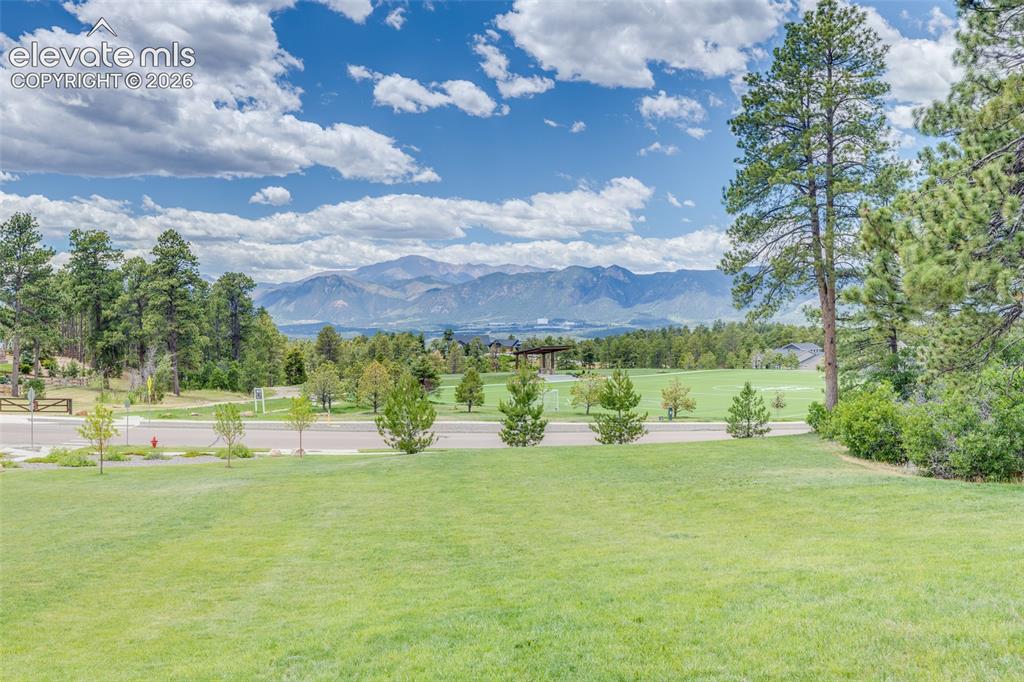 747 Sage Forest Lane Monument CO 80132