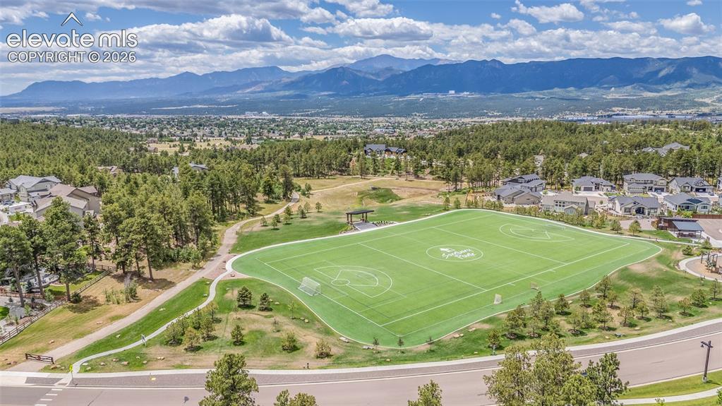 747 Sage Forest Lane Monument CO 80132