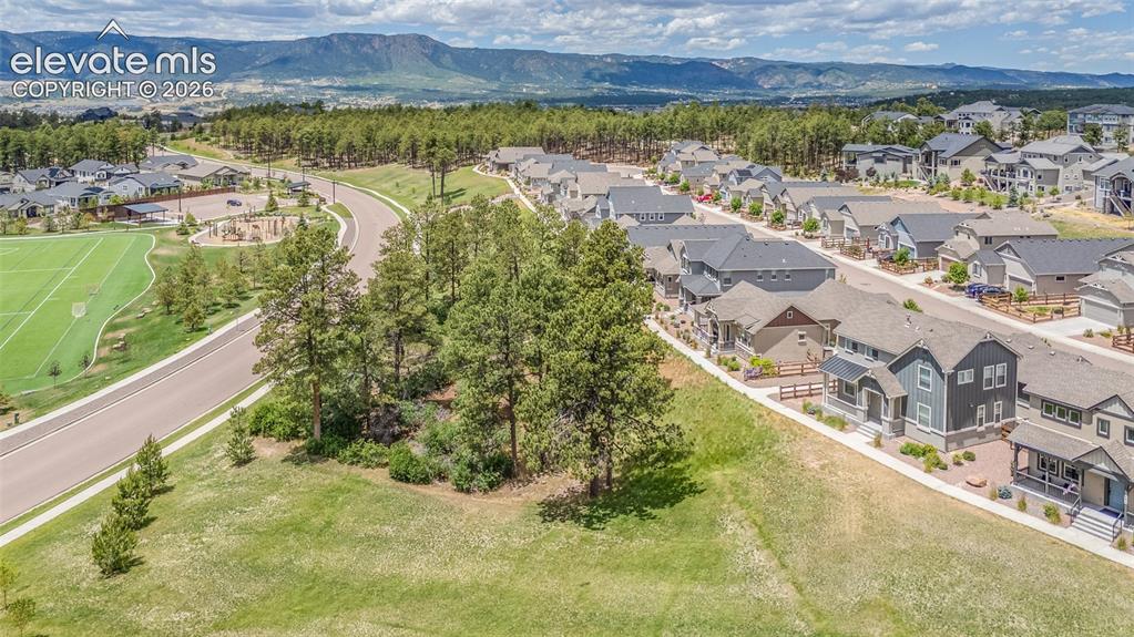 747 Sage Forest Lane Monument CO 80132