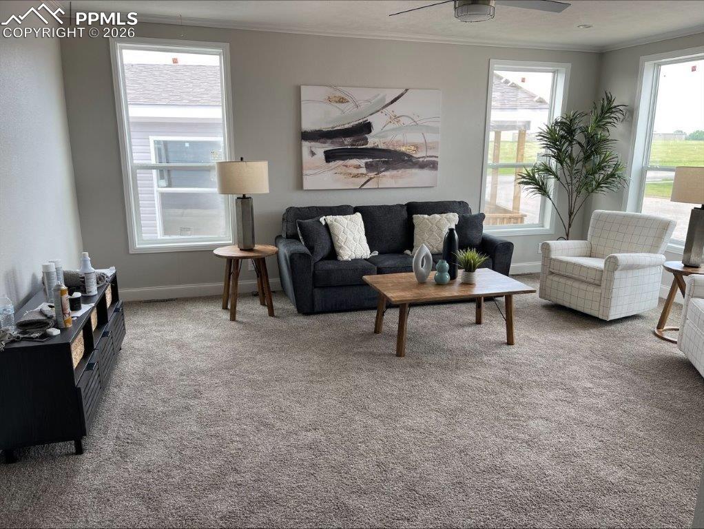 812 Iowa Avenue Colorado Springs CO 80909